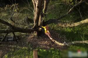 Naomi 皮卡丘小姐姐我要捕捉你  背景图片