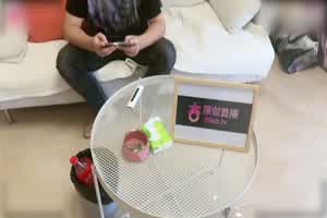 杏吧 给予青春期弟弟的特殊关爱 姐弟之恋  背景图片