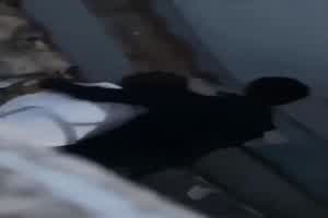 学生妹推着推着就进去了真刺激  背景图片