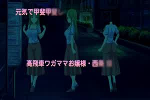 洁癖一本正经・葵～绝望的姐妹爱～  背景图片