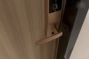 野蛮之爱  背景图片