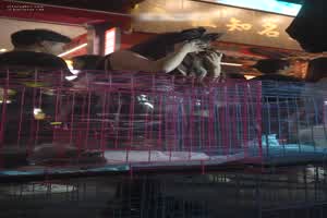 猎物锁定！专业抄底出发！  背景图片