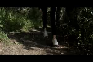 魔兽玩具探密花径--LUNA的旅行  背景图片