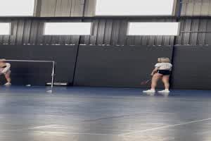 羽球场上多人乱斗 闹上新闻  背景图片