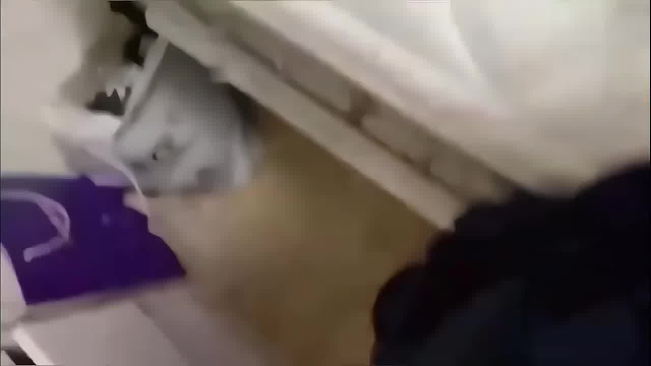  重庆真实母子乱伦，儿子想跟爸爸一起操劲爆全过程 的剧照5